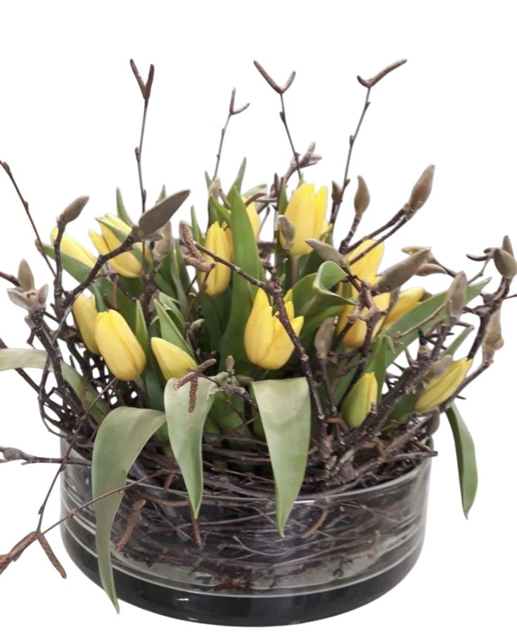 Cylinder Glass Bow of Tulips and Twigs