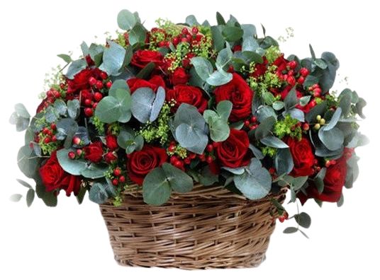 Gorgeous Love Basket of Roses and Hypericum