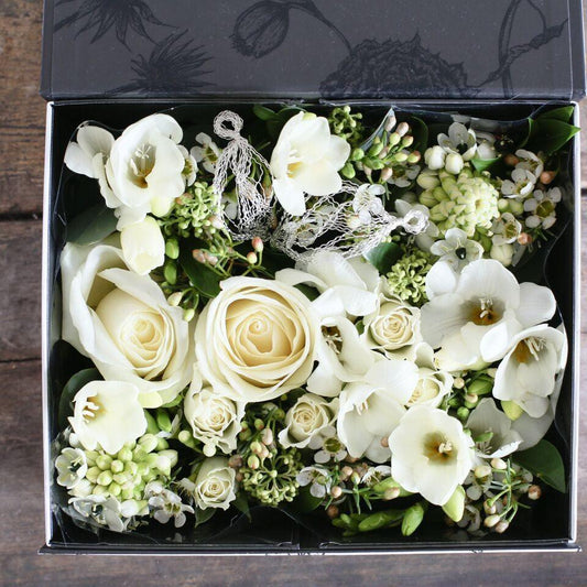 Angel Hadiah Box
