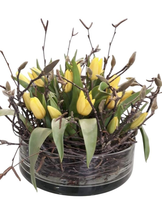 Cylinder Glass Bow of Tulips and Twigs