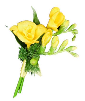 Freesias Buttonhole