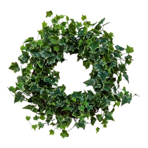 Fresh Green Hedera Wreath